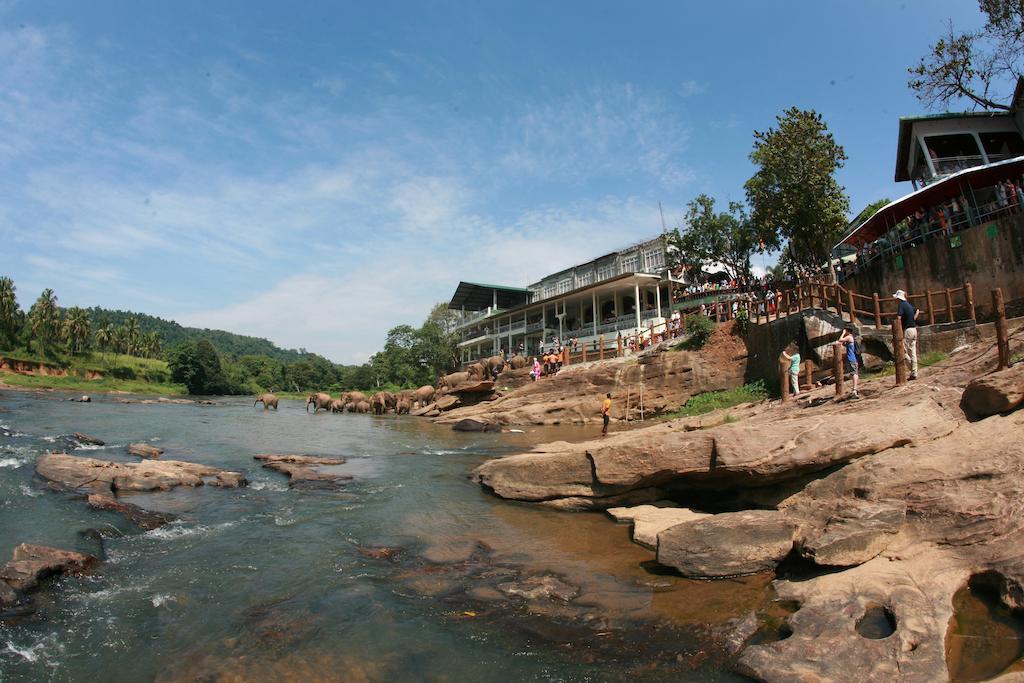 Hotel Pinnalanda Pinnawala  Bagian luar foto