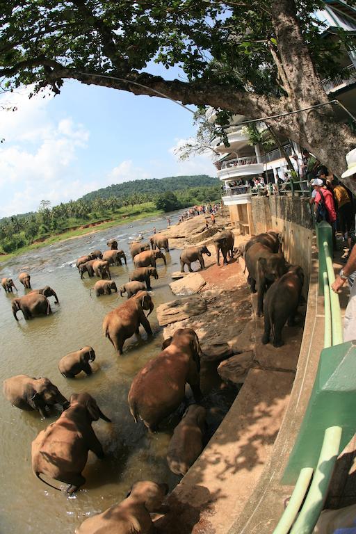 Hotel Pinnalanda Pinnawala  Bagian luar foto