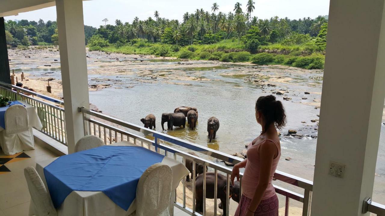 Hotel Pinnalanda Pinnawala  Bagian luar foto